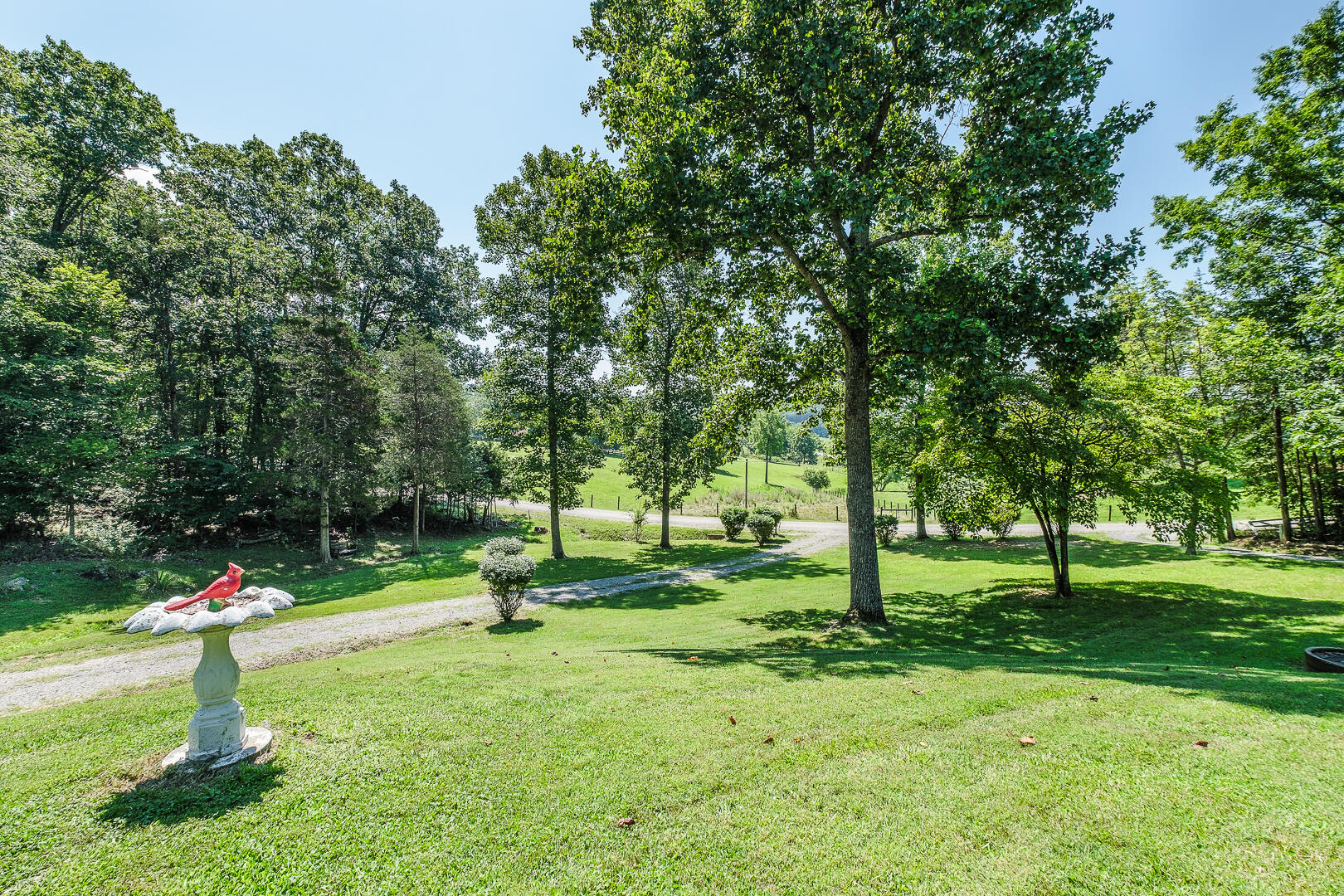 157 Allen Branch Road Eagle Rock, VA 24085 - Photo 5 of 48 157 Allen Branch Rd-5