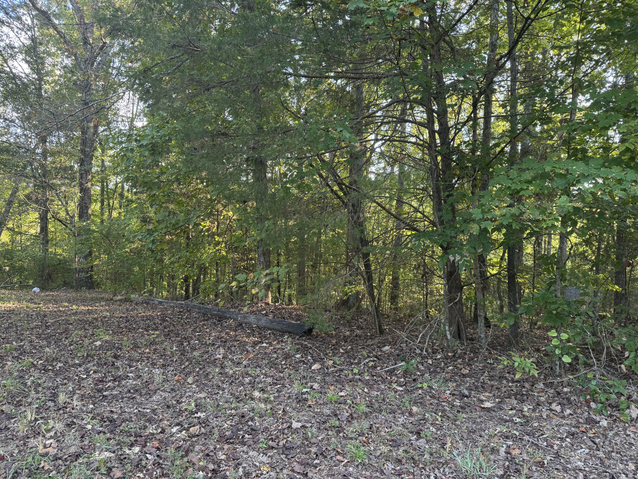1311 CC Road Kingston Springs, TN 37082 - Photo 7 of 7 Gallery Image 7