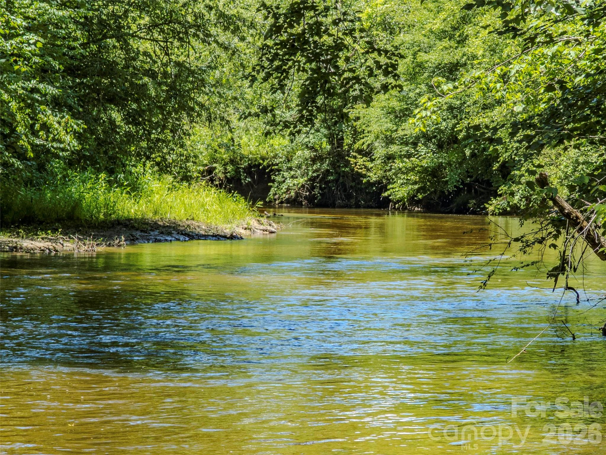 Tbd Canebrake Road Pisgah Forest, NC 28768 - Photo 43 of 43
