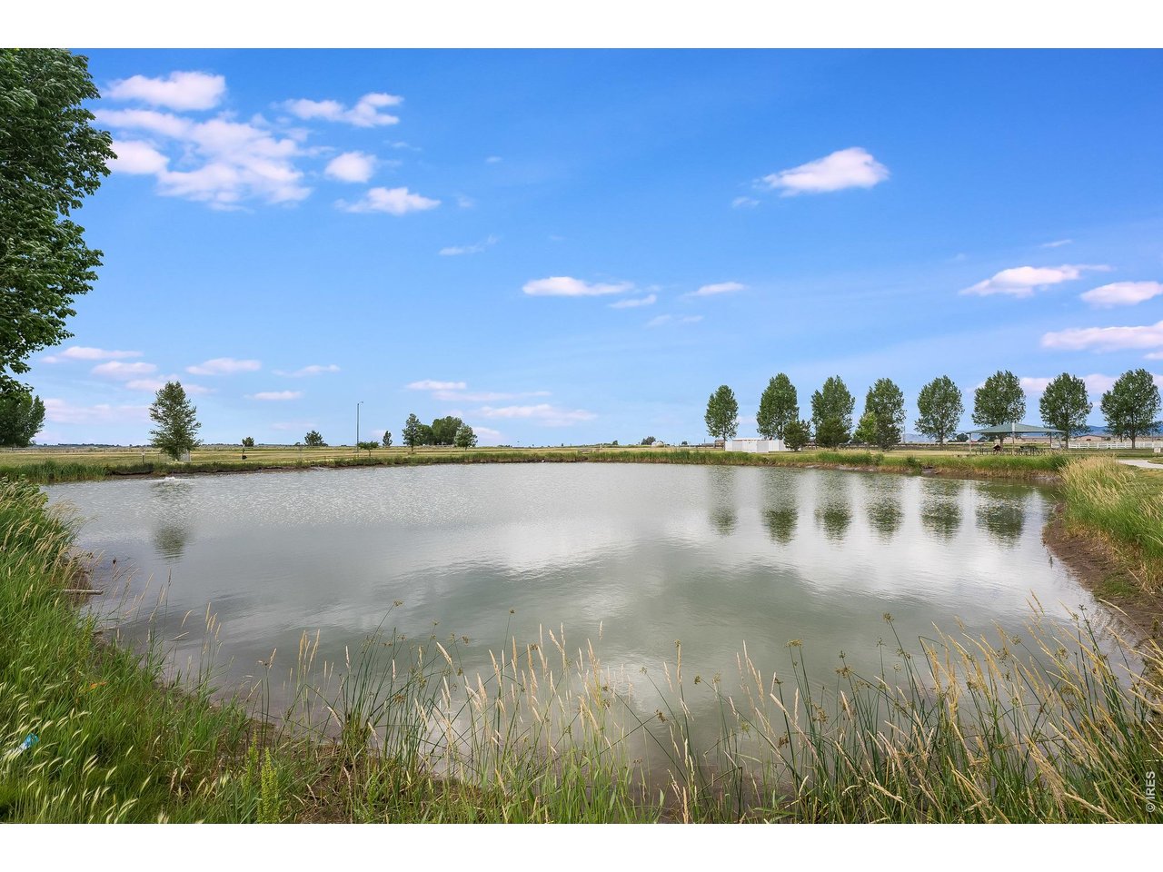 7001 Sumner Street Wellington, CO 80549 - Photo 35 of 40 Park Meadows Ponds