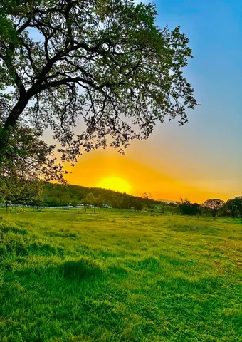 a view of an ocean from a yard