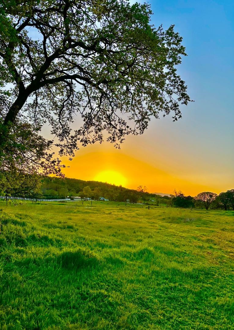 a view of an ocean from a yard