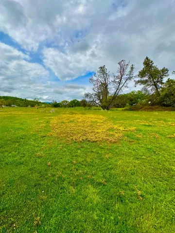 a view of swimming pool of a yard