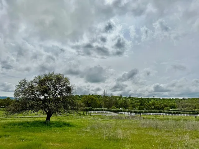 $499,000 | 159 Albright Court, Angels Camp, CA 95222