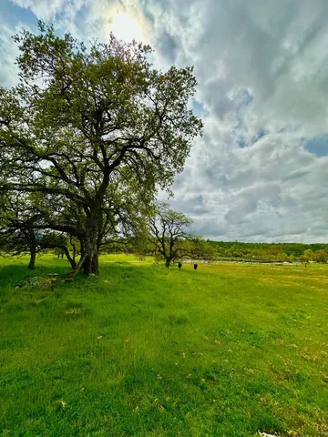 a view of an ocean and beach