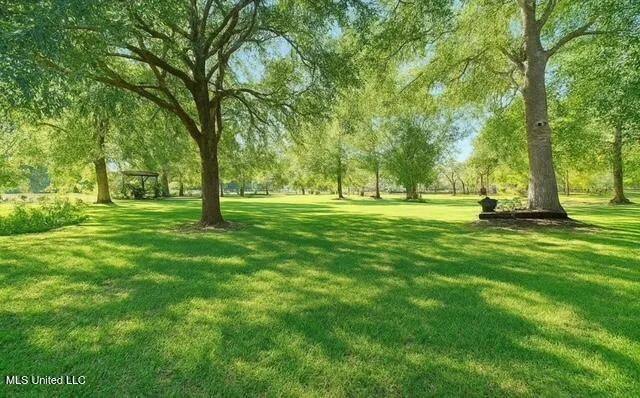 $420,000 | 119 Ceasar Road, Picayune, MS 39466