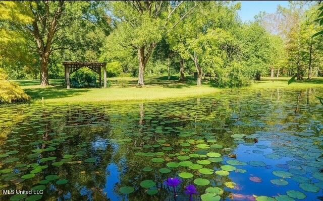 119 Ceasar Road Picayune, MS 39466 - Photo 3 of 25 IMG_3635