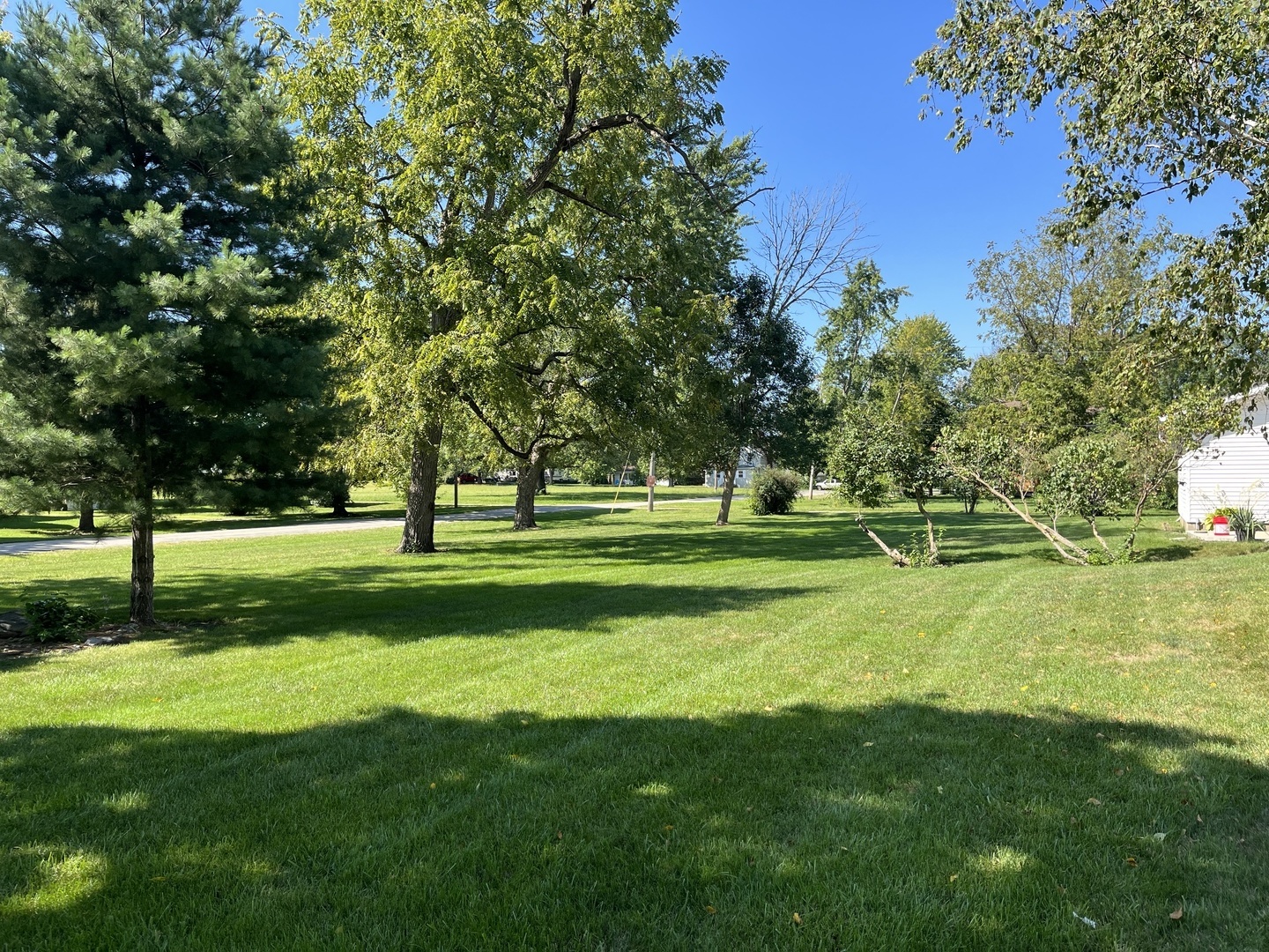310 North Main Street Rankin, IL 60960 - Photo 17 of 17 a view of a park