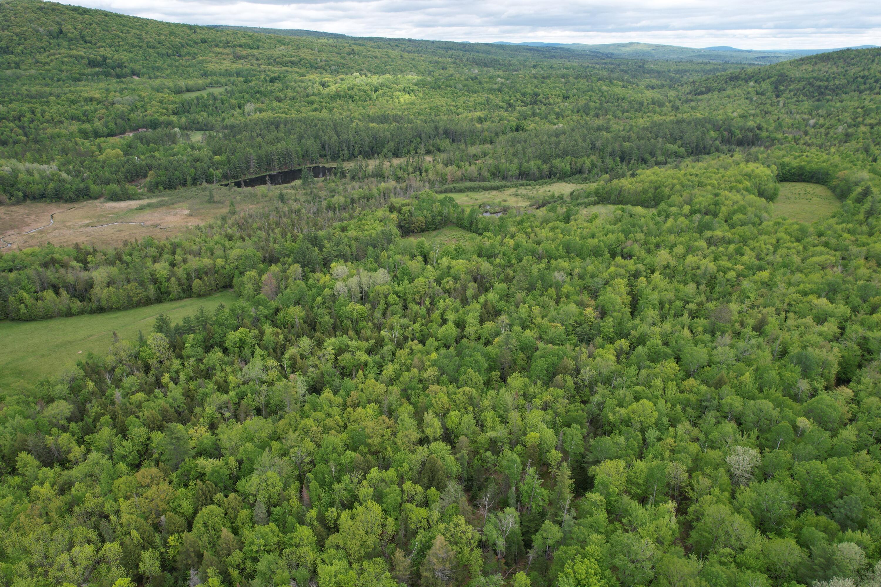 212 Mile Square Road Phillips, ME 04966 - Photo 7 of 33 DJI_0308