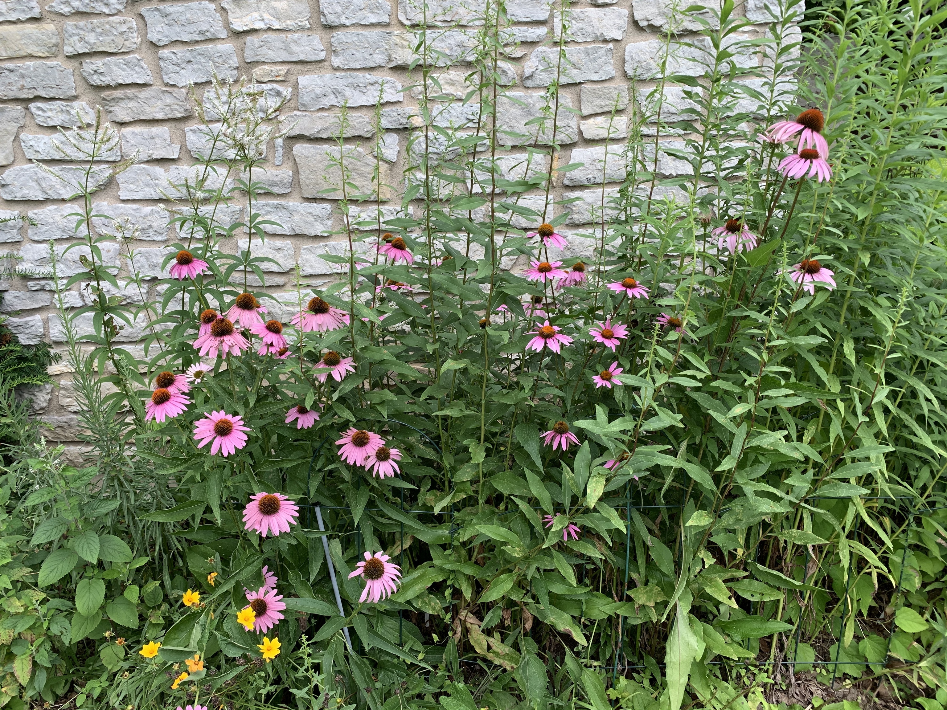 8530 South Franklin Road Indianapolis, IN 46259 - Photo 44 of 60 Gallery Image 44