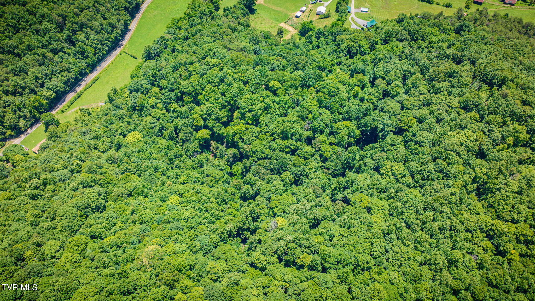 Tbd Hickory Cove Road Rogersville, TN 37857 - Photo 6 of 17 106