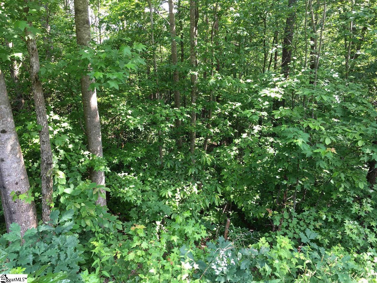 120 Ridgerunner Way Travelers Rest, SC 29690 - Photo 3 of 9