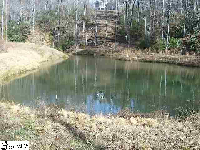 120 Ridgerunner Way Travelers Rest, SC 29690 - Photo 6 of 9