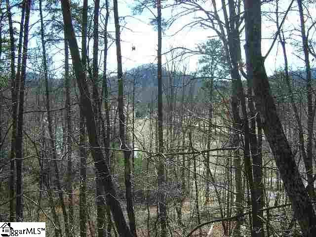 120 Ridgerunner Way Travelers Rest, SC 29690 - Photo 7 of 9