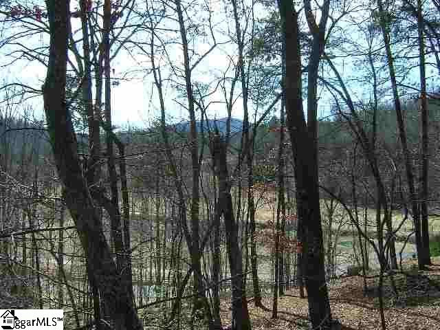 120 Ridgerunner Way Travelers Rest, SC 29690 - Photo 8 of 9