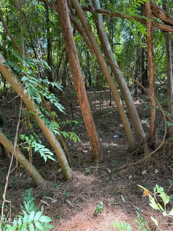 a backyard of a house with lots of trees