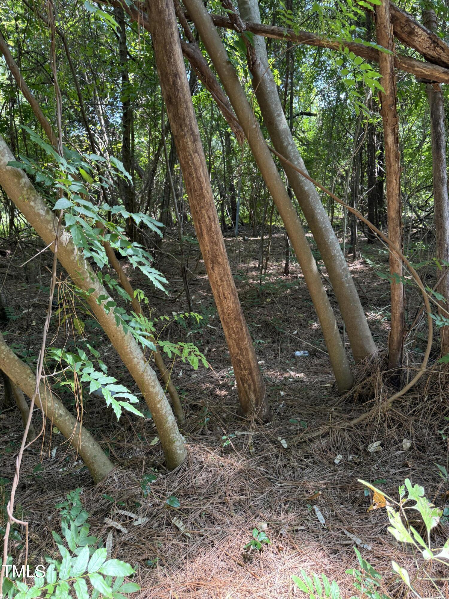 105 Micaville Circle Spring Lake, NC 28390 - Photo 5 of 7 IMG_1951