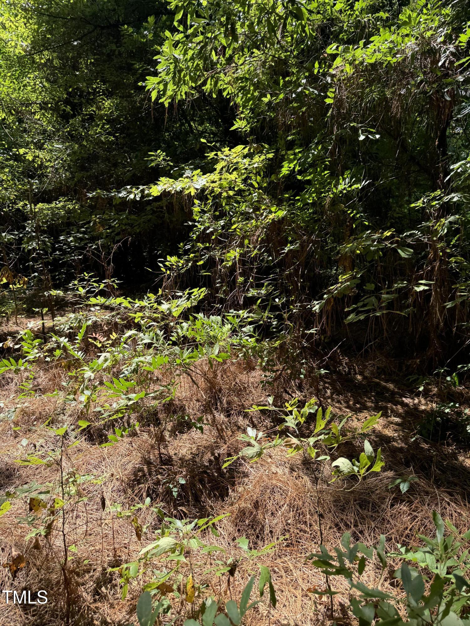 105 Micaville Circle Spring Lake, NC 28390 - Photo 6 of 7 IMG_1954