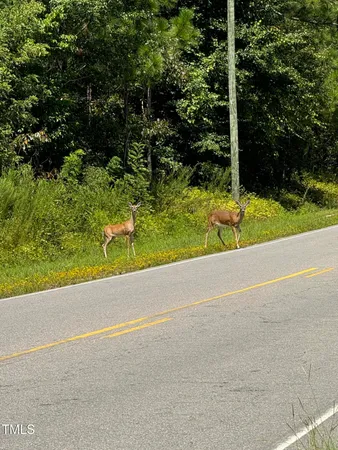 a view of a yard with potted plants