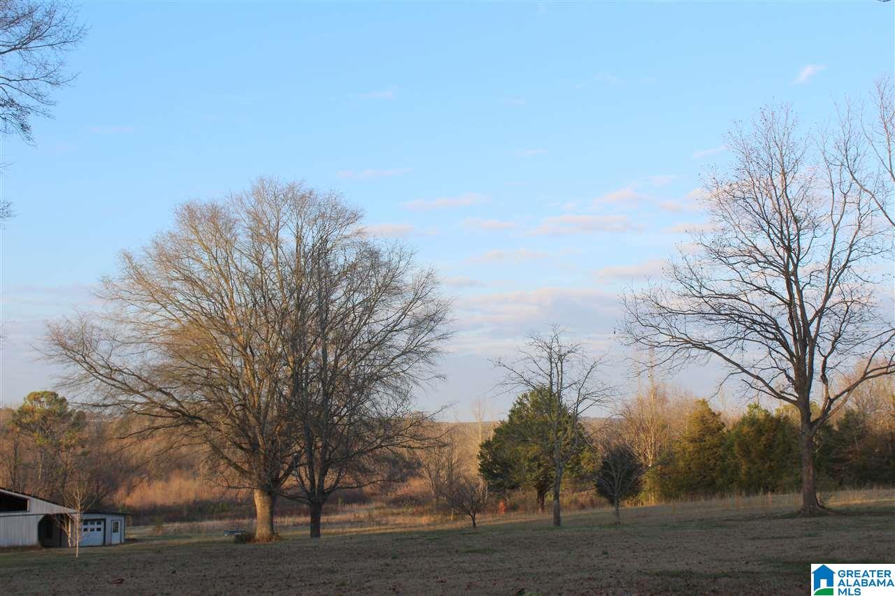 4935 Spring Creek Road Montevallo, AL 35115 - Photo 35 of 36