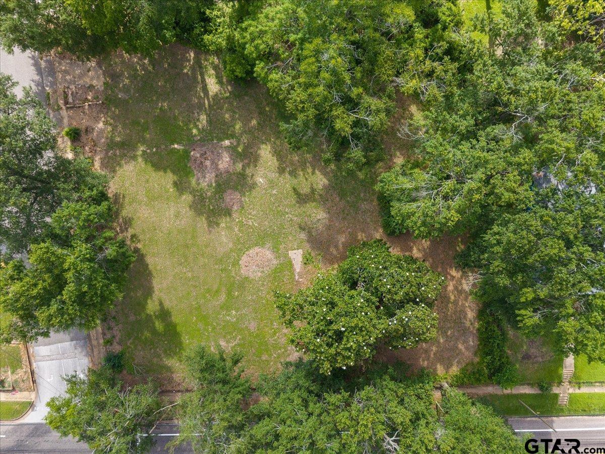 262 North Henderson Street Rusk, TX 75785 - Photo 3 of 11
