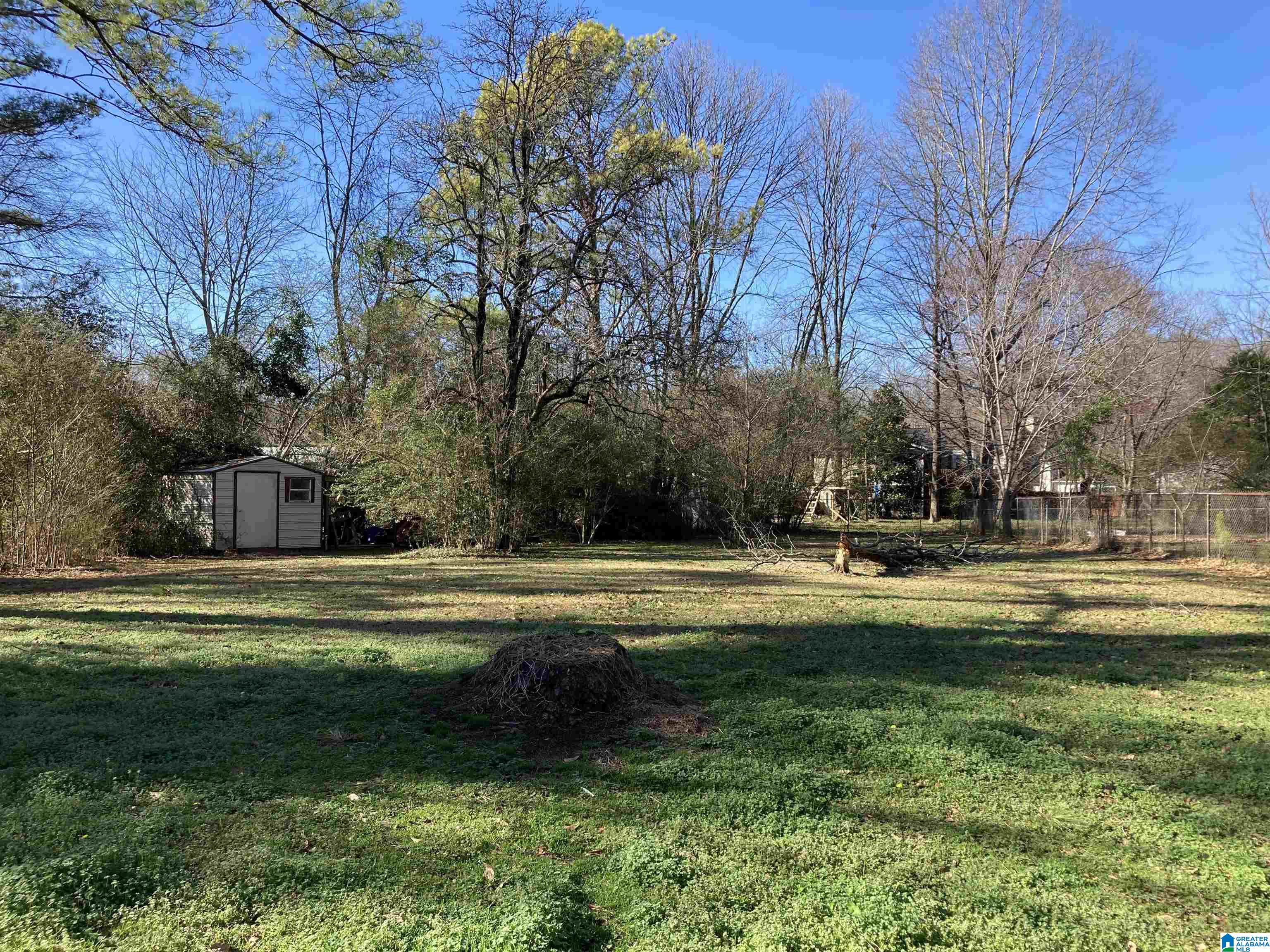4337 Morningside Drive Helena, AL 35080 - Photo 10 of 35