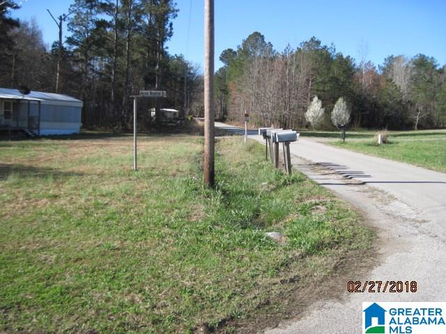 1560 Dripping Rock Road Piedmont, AL 36272 - Photo 2 of 8
