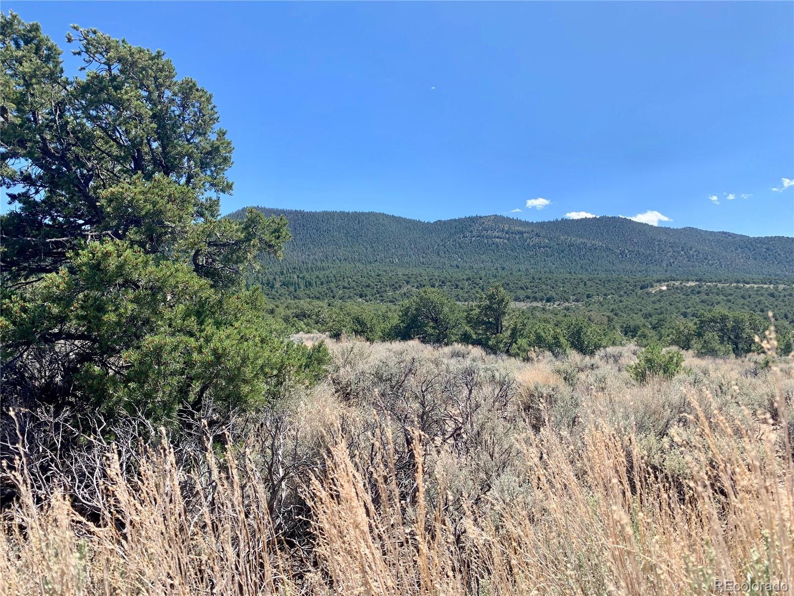 Lot 2287 Oro Road Fort Garland, CO 81133 - Photo 1 of 4 Gallery Image 1