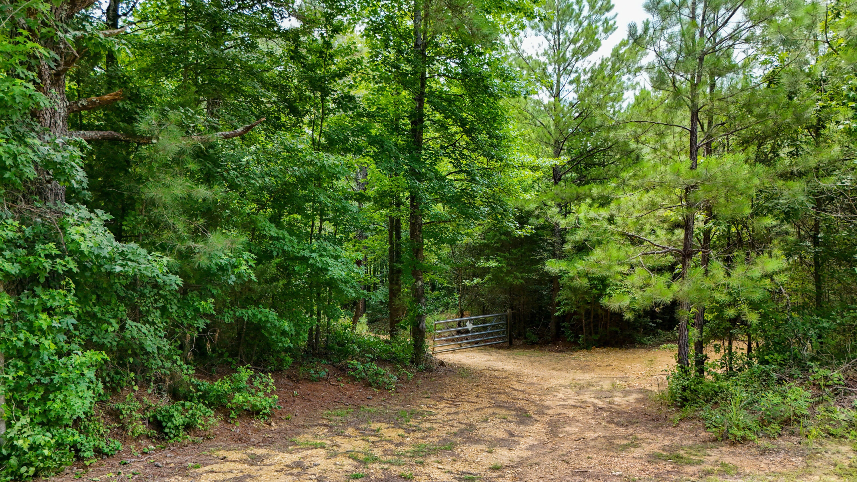 Lot 1 Martin Road Fulton, MS 38843 - Photo 16 of 25 Gallery Image 16