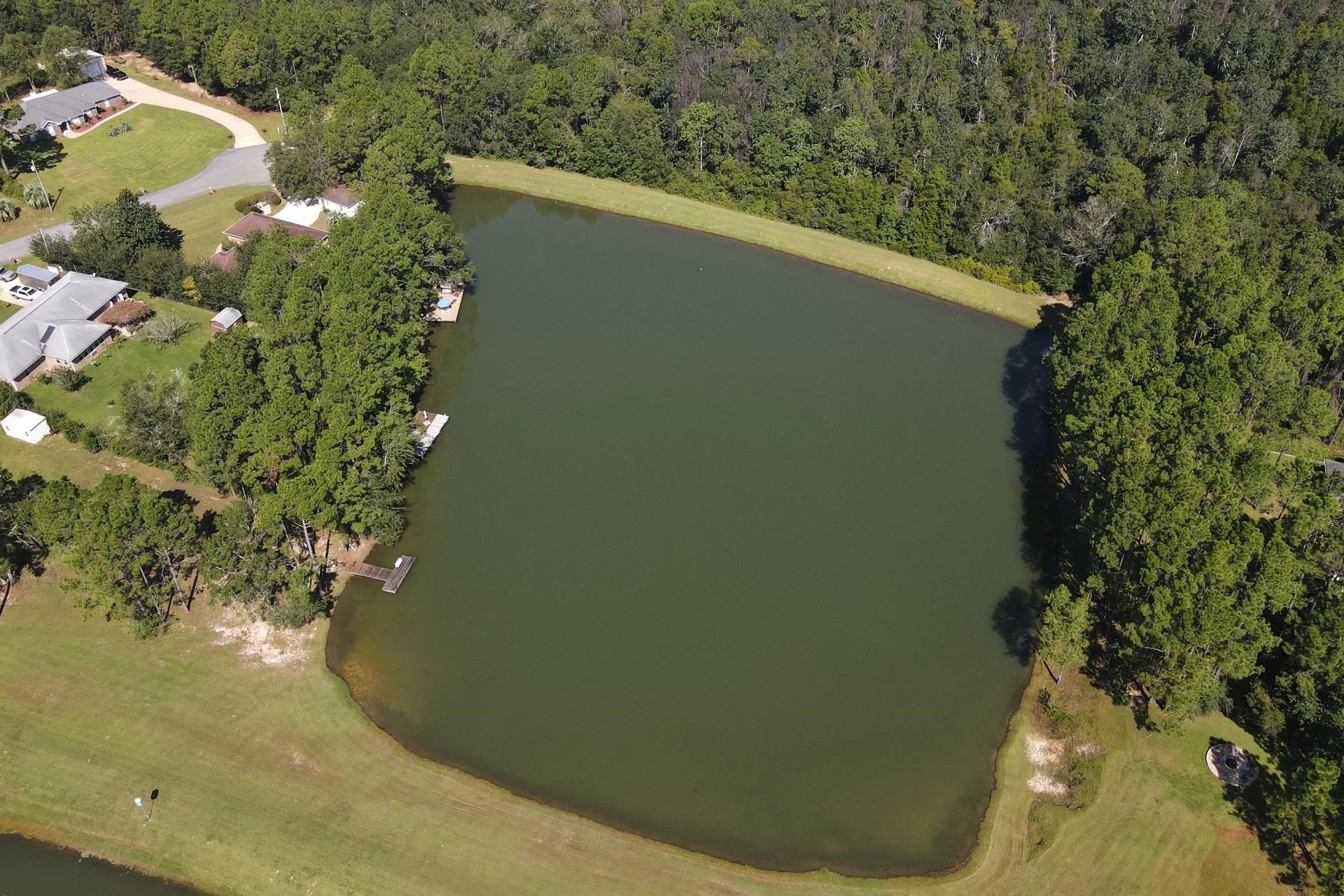 20021 Erin Pond Road Seminole, AL 36574 - Photo 6 of 34