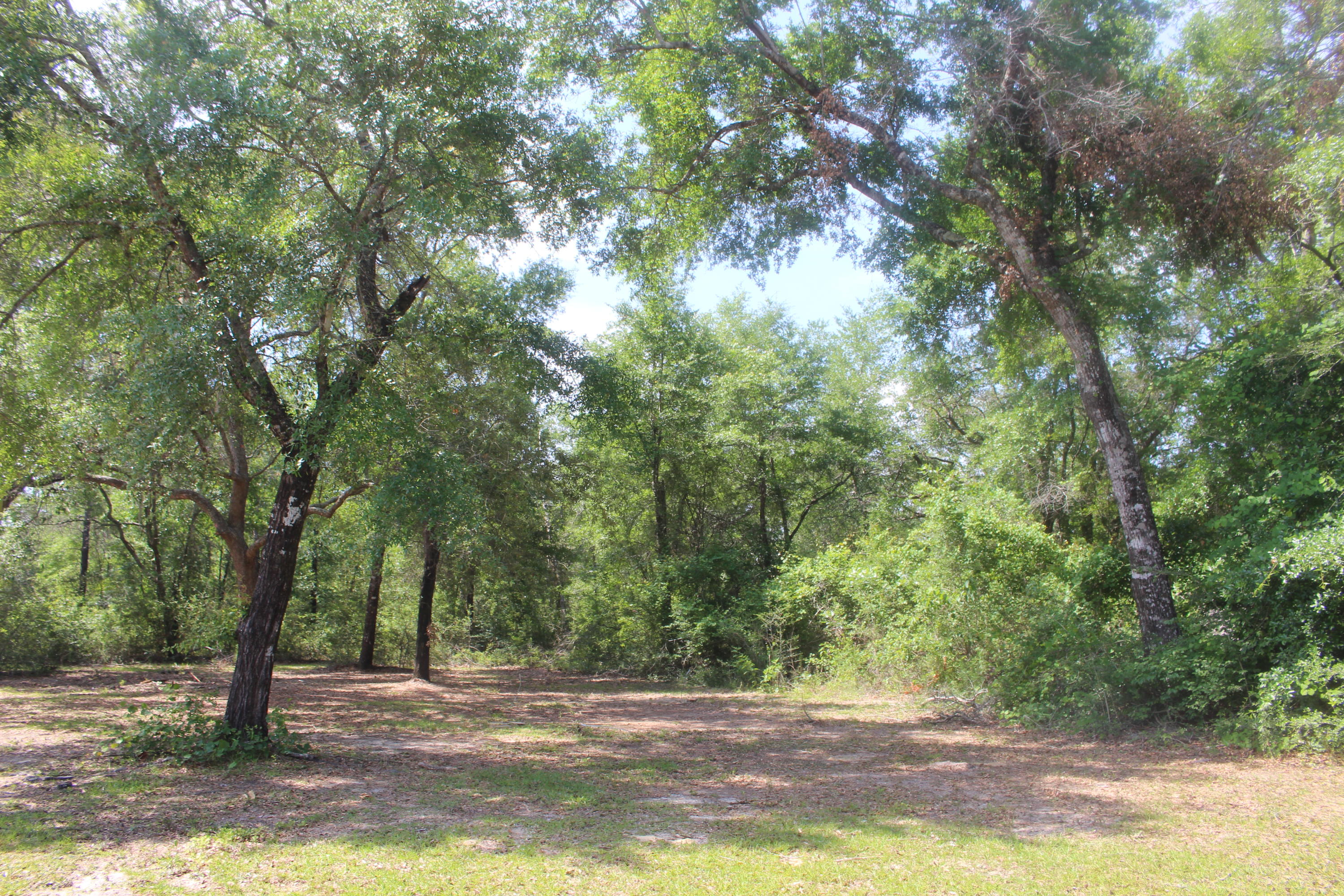 5766 Mt Olive Road Crestview, FL 32539 - Photo 6 of 9 Gallery Image 6