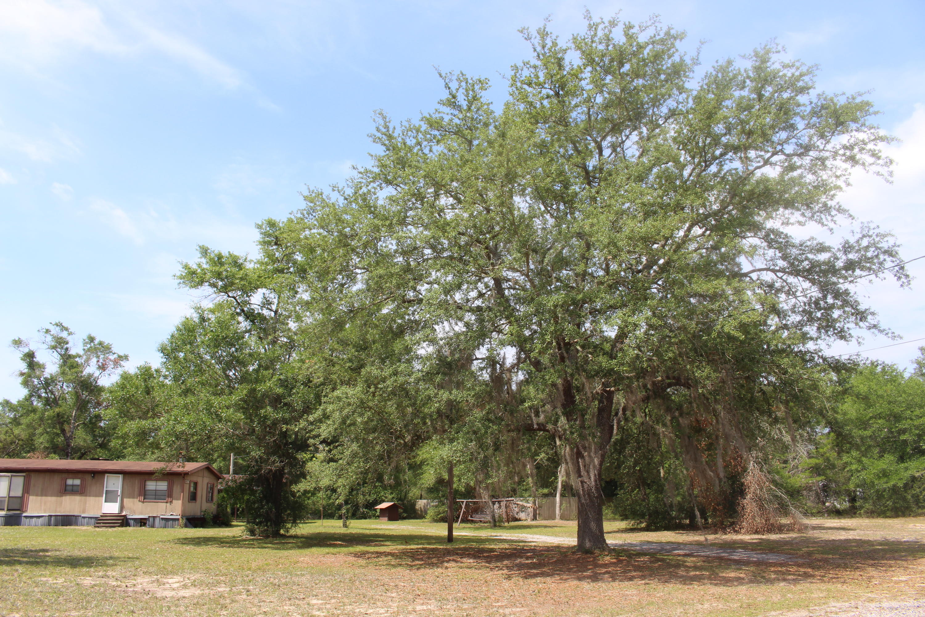 5766 Mt Olive Road Crestview, FL 32539 - Photo 9 of 9 Gallery Image 9