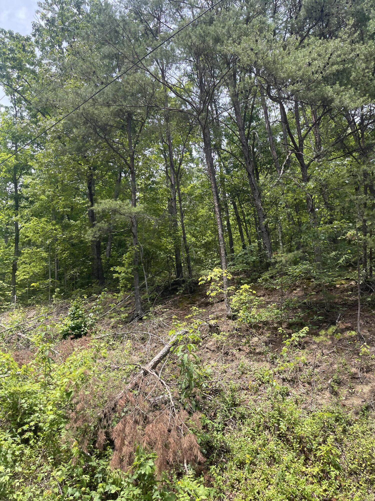 1553 Allen Road Booneville, KY 41314 - Photo 4 of 13 3F221A75-7502-4F9E-9AEA-FEBE6A1955F7