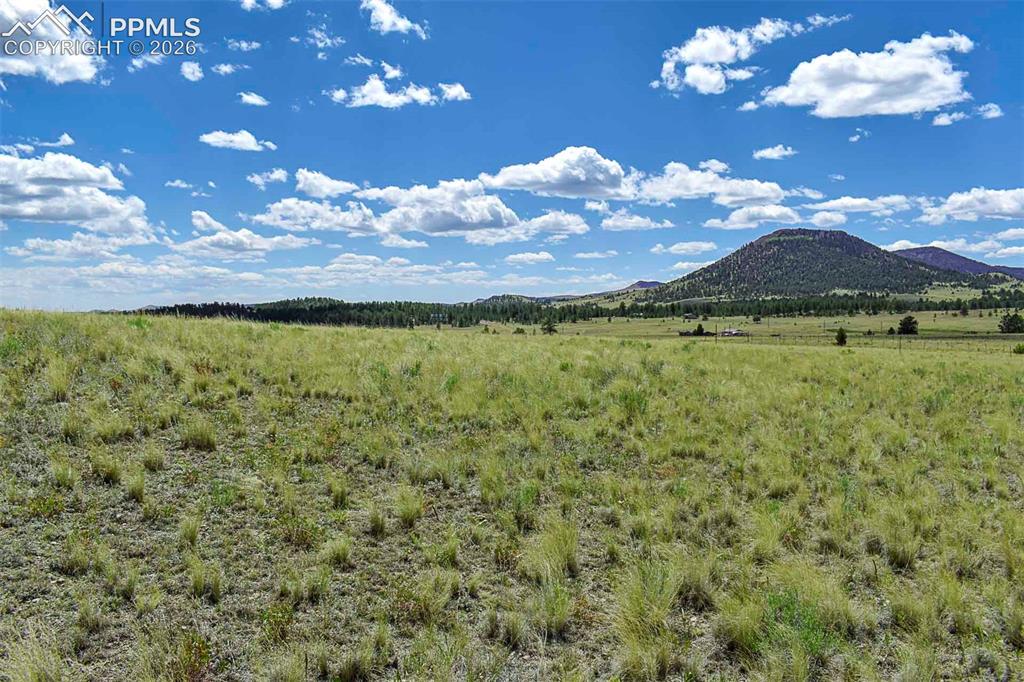 4680 County Road 71 Guffey, CO 80820 - Photo 8 of 15