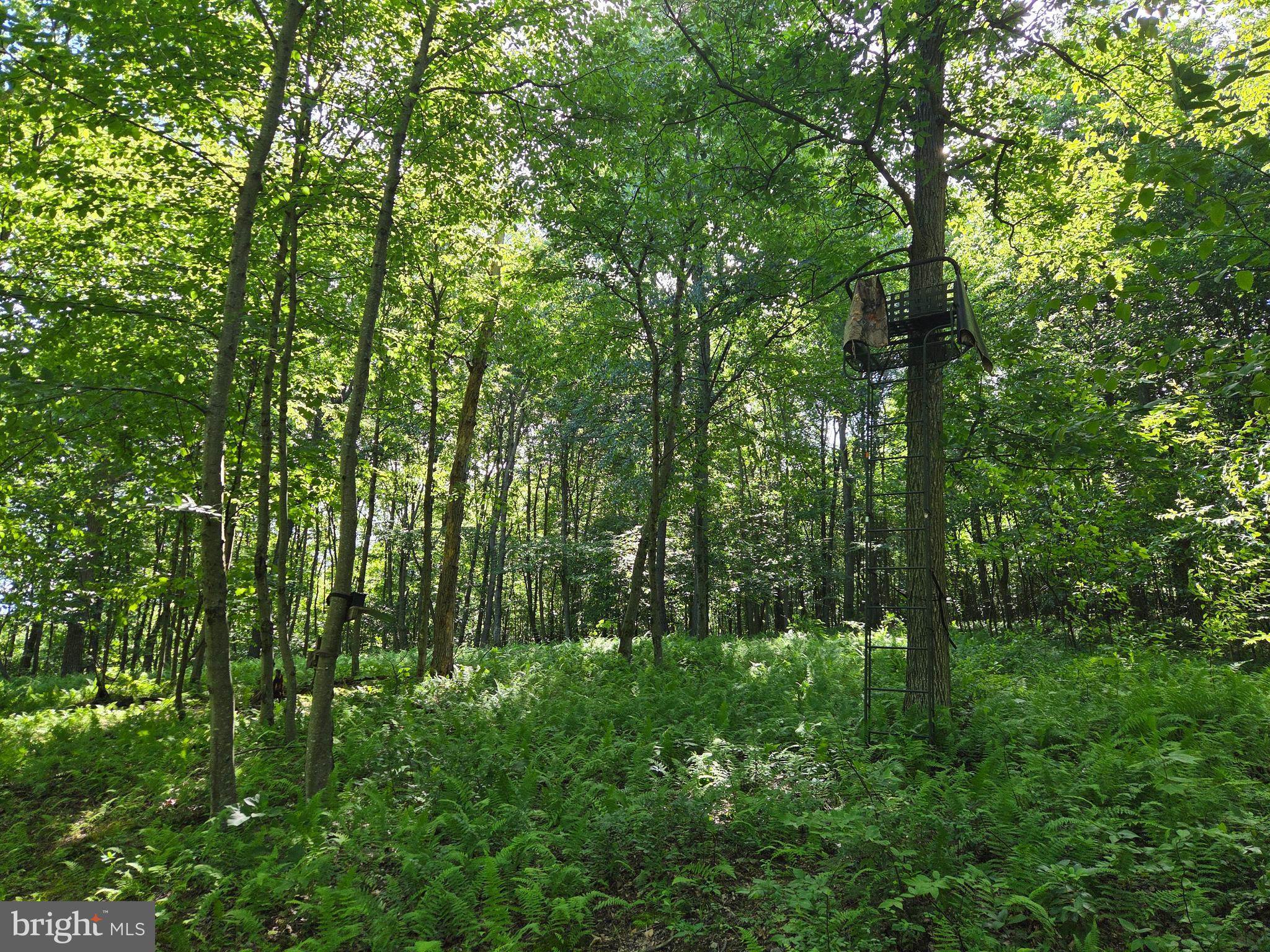 0 Carlisle Gap Road Lewistown, PA 17044 - Photo 20 of 53