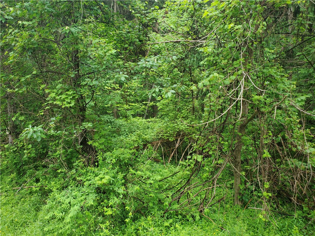 0 Curtis Road Hemlock, NY 14466 - Photo 1 of 1