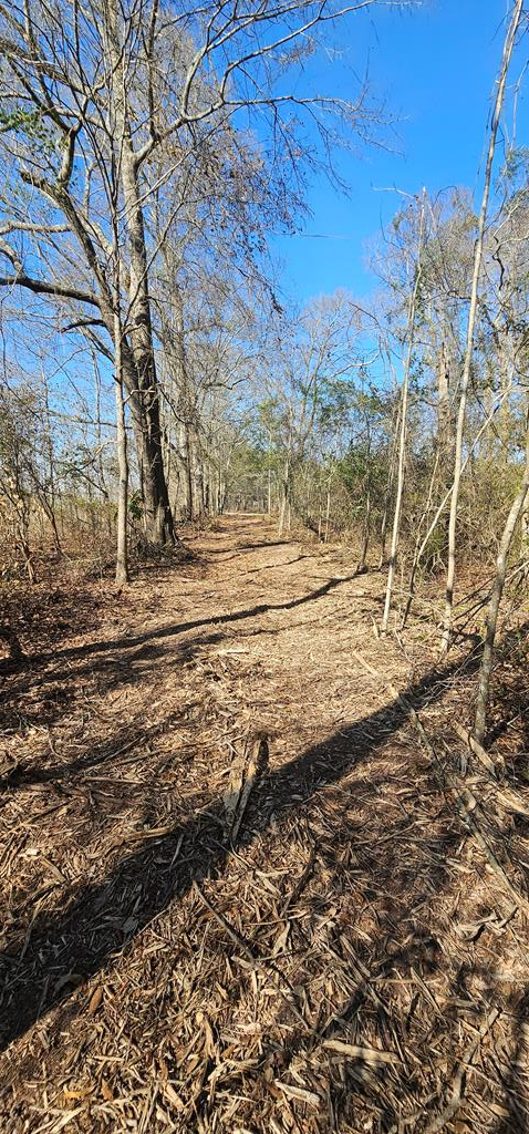 4.9-acres Grady Garner Road Slocomb, AL 36375 - Photo 19 of 70