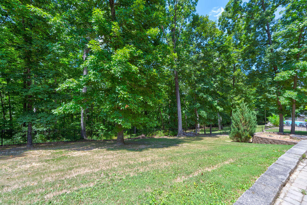 155 Grandview Point Ringgold, GA 30736 - Photo 43 of 70 Back Yard