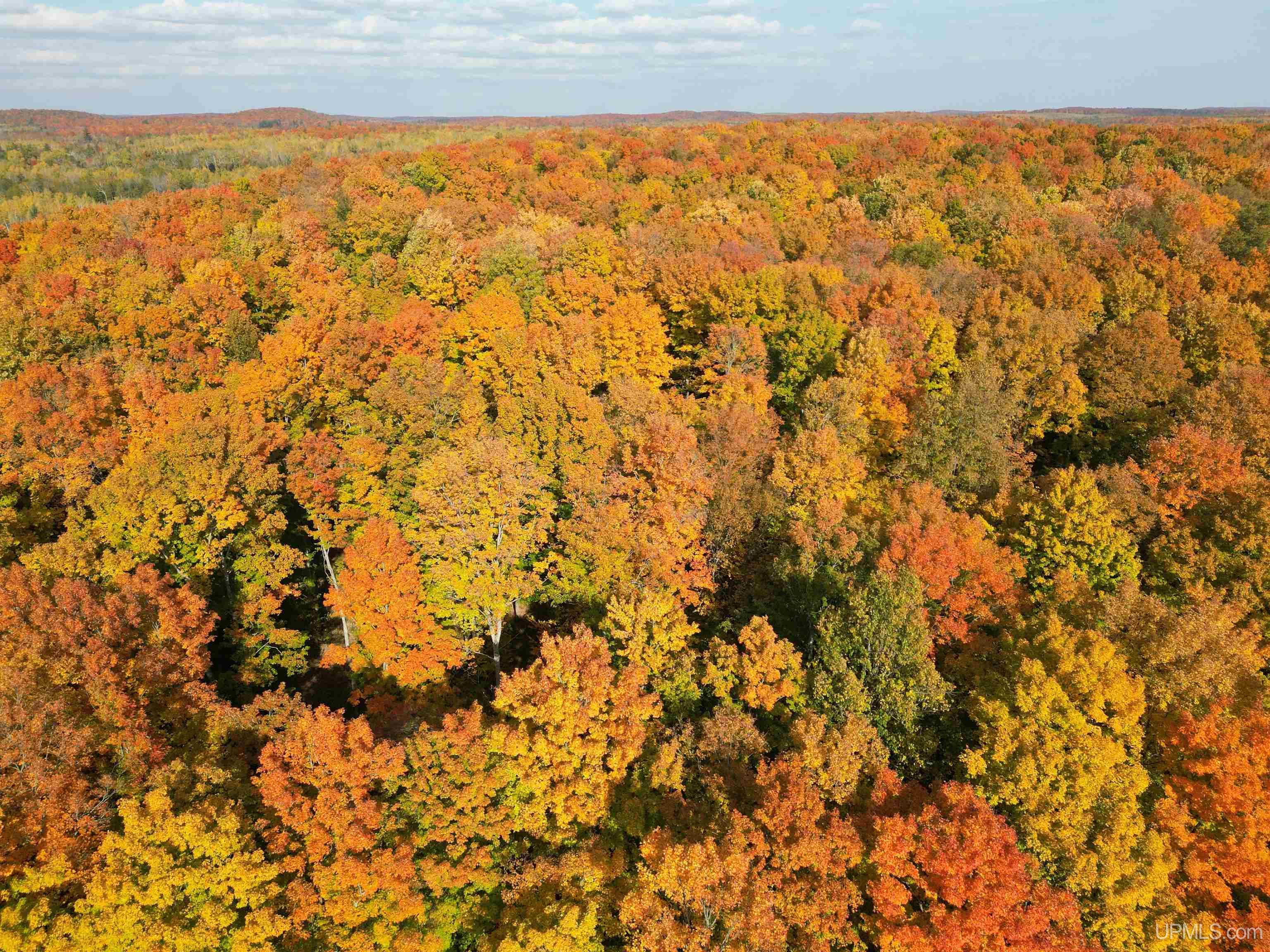 80 Rd Vulcan Mi 49892 Road Vulcan, MI 49892 - Photo 1 of 49 Gallery Image 1