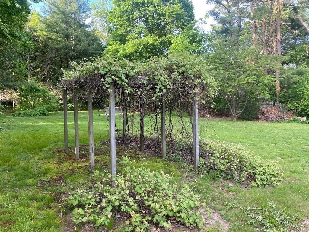 413 Main Street Hingham, MA 02043 - Photo 10 of 33 a view of a garden with a tree