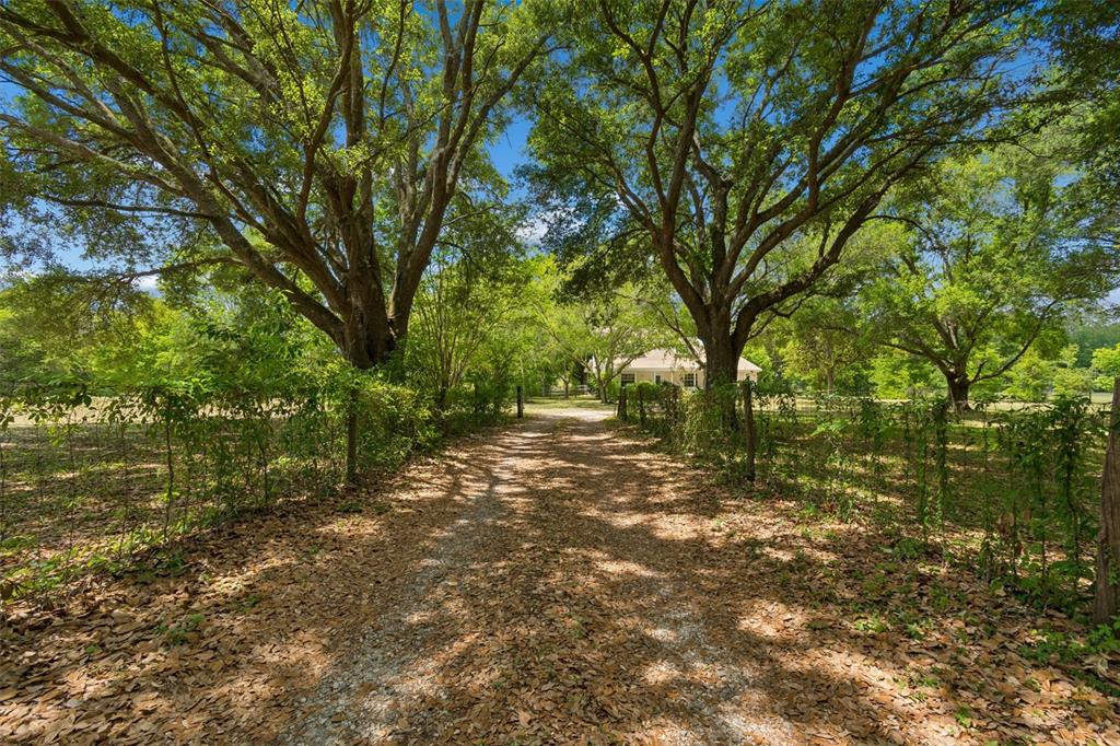 17879 Parrish Grove Road Dade City, FL 33523 - Photo 83 of 99 Gallery Image 83