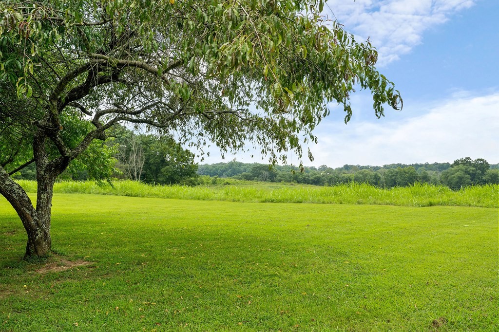 2110 Almyra Road Sparta, TN 38583 - Photo 25 of 58 Gallery Image 25