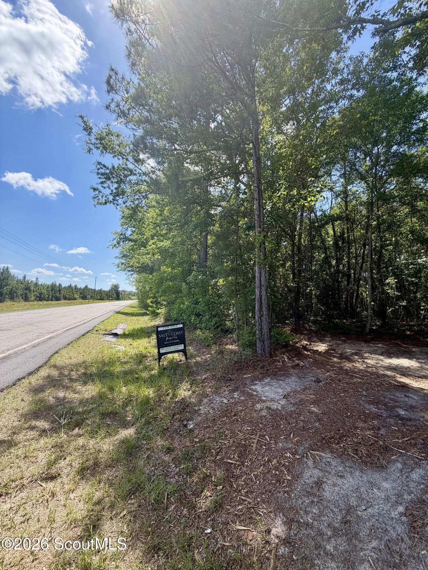 7.24-acres Harris Neck Road Northeast Townsend, GA 31331 - Photo 3 of 10