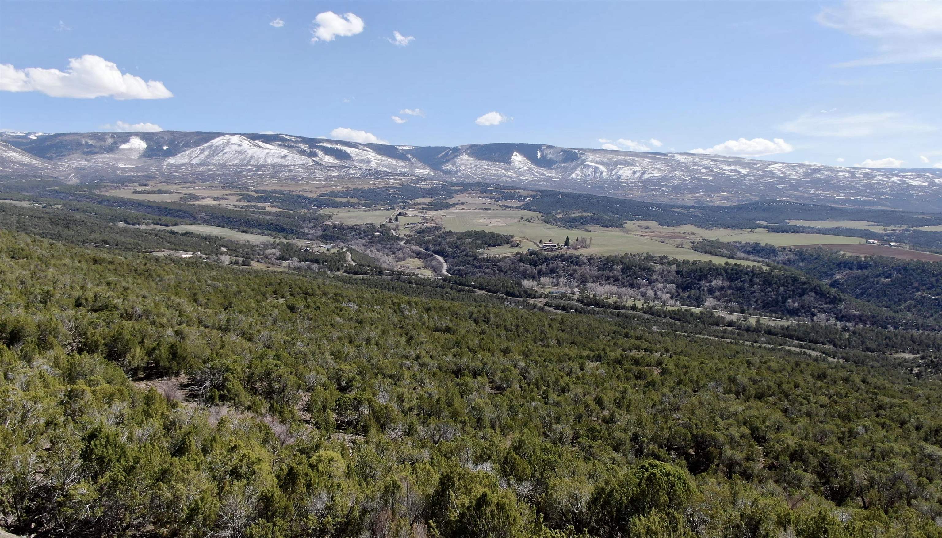 Tbd 55 Road Collbran, CO 81624 - Photo 1 of 14 Gallery Image 1