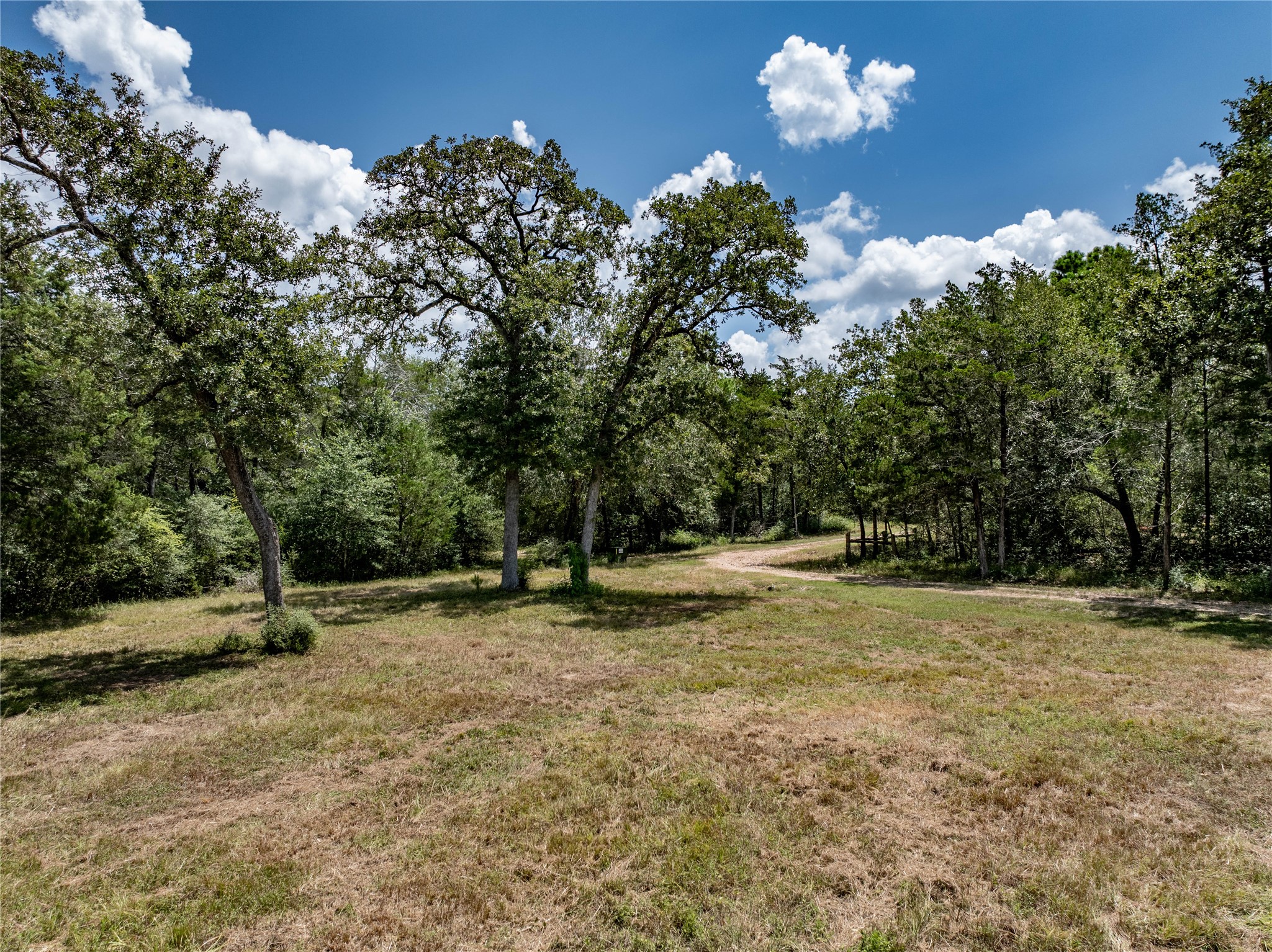 1126 Abel Road New Ulm, TX 78950 - Photo 17 of 31 Gallery Image 17