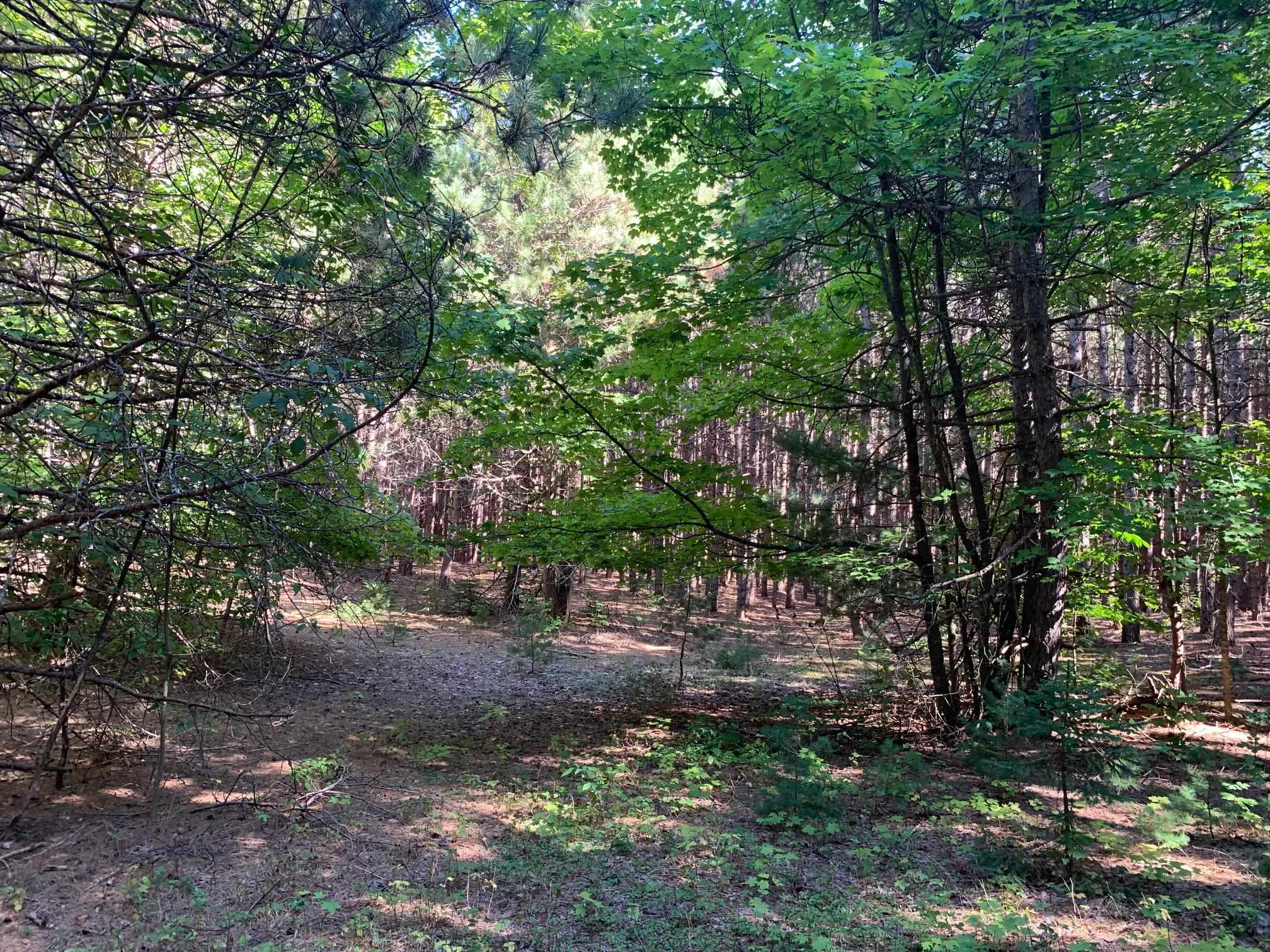 0 South Maple City Road Traverse City, MI 49684 - Photo 21 of 22