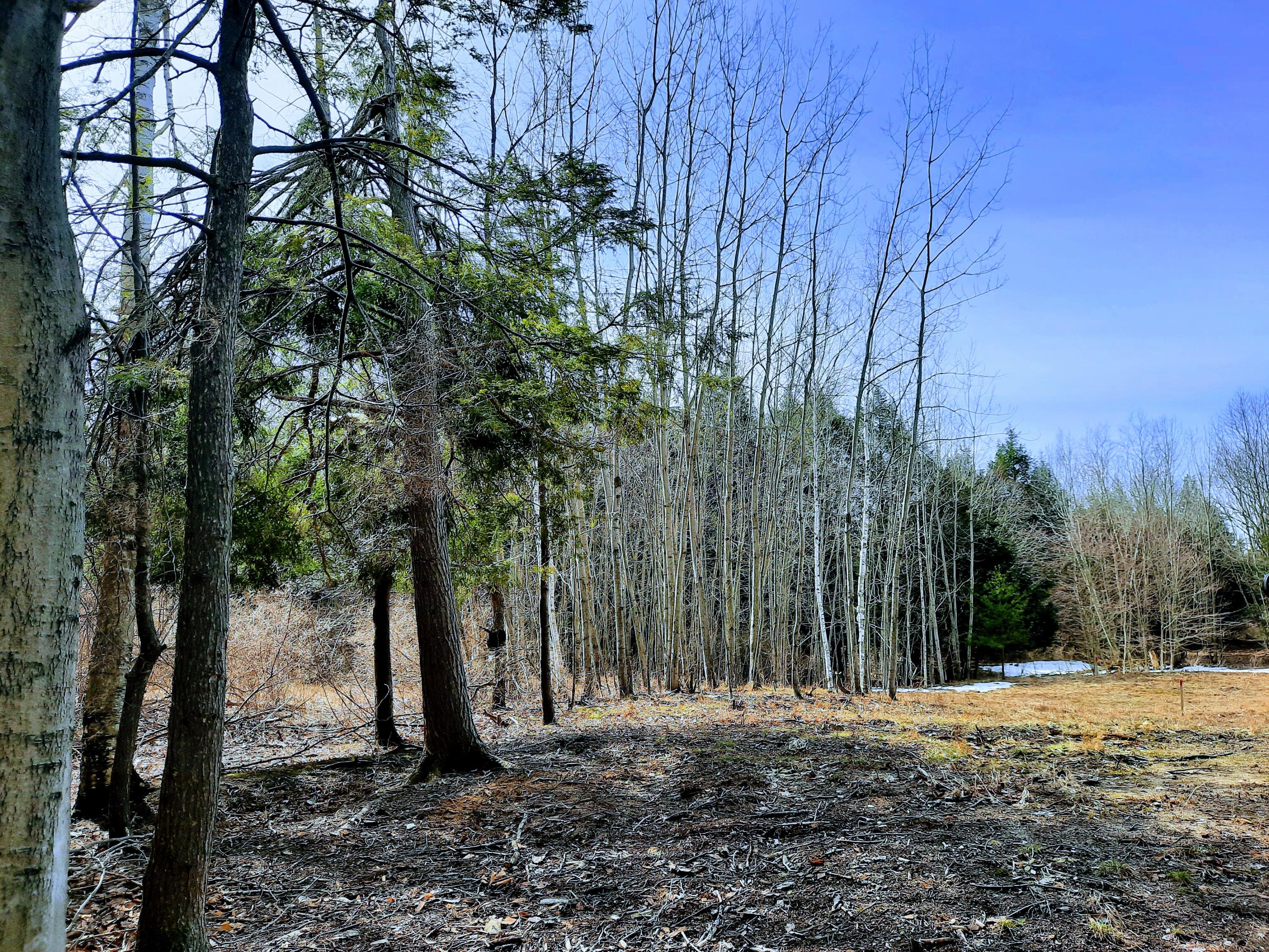 Lot 47 Smith Road Onekama, MI 49675 - Photo 15 of 24 Land