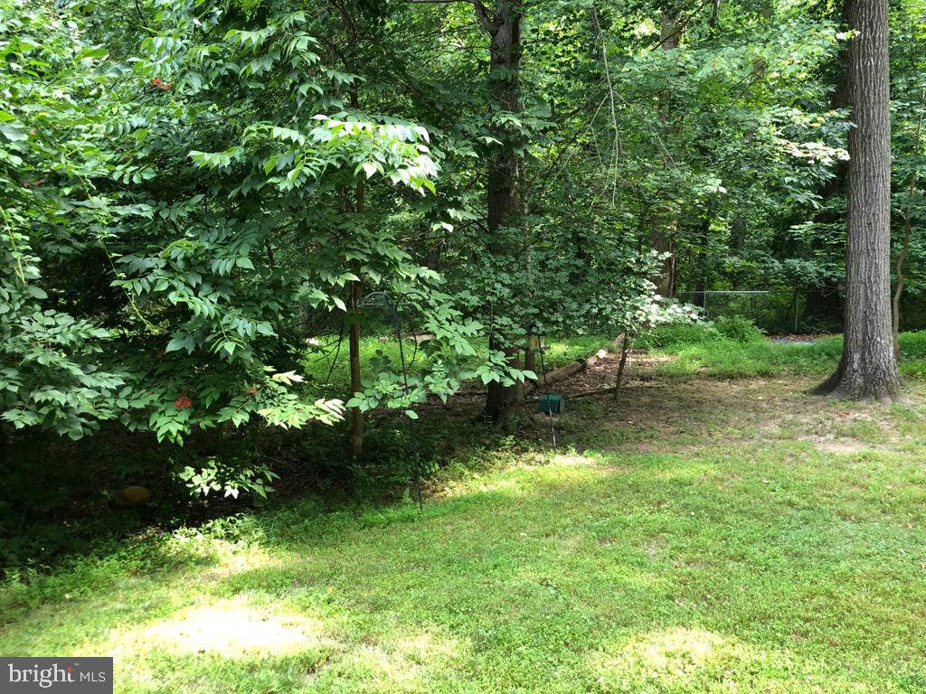 1295 Scotts Run Road McLean, VA 22102 - Photo 11 of 14 Backyard Photo