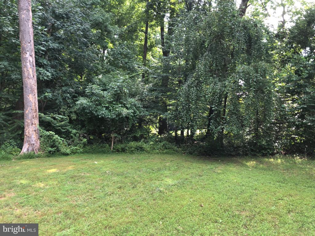 1295 Scotts Run Road McLean, VA 22102 - Photo 12 of 14 Treed Lot - Backyard