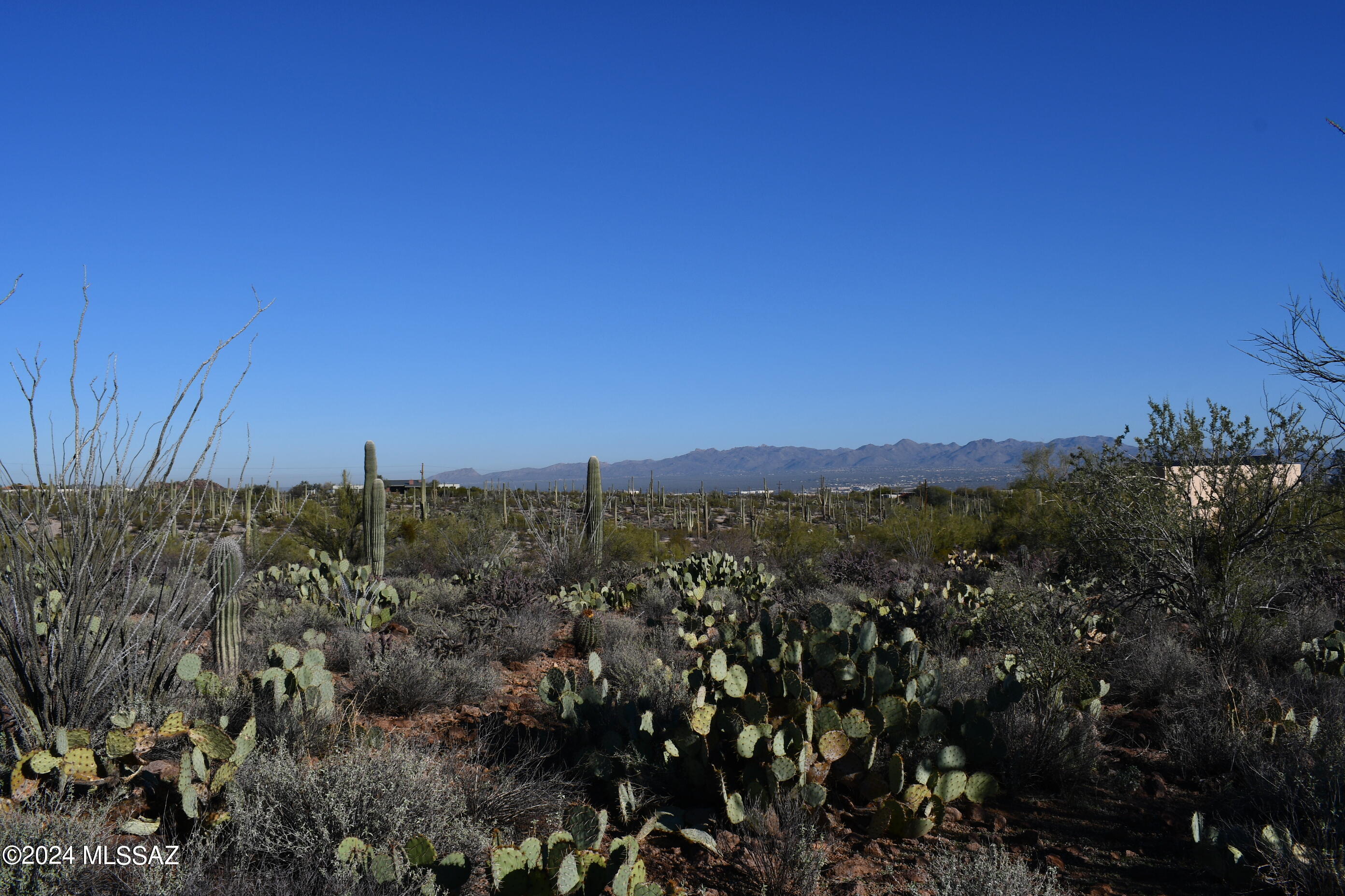 6396 North Yuma Mine Road Tucson, AZ 85743 - Photo 19 of 49 Gallery Image 19